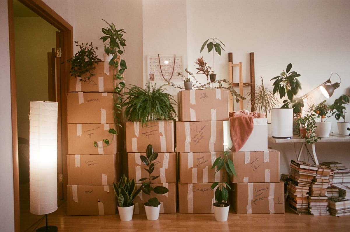 Moving boxes and plants in a room